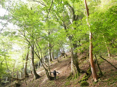 f0057070_22264387.jpg