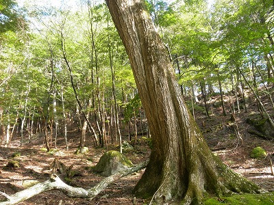 f0057070_22265637.jpg