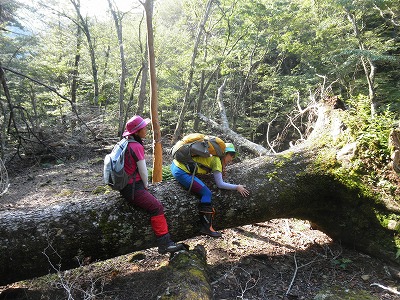 f0057070_2227881.jpg