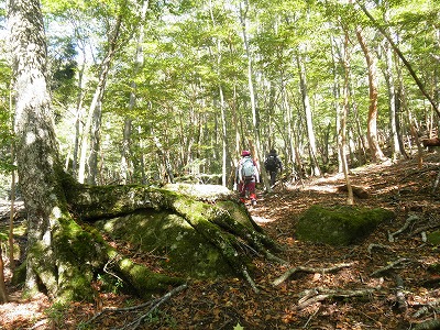 f0057070_22294718.jpg