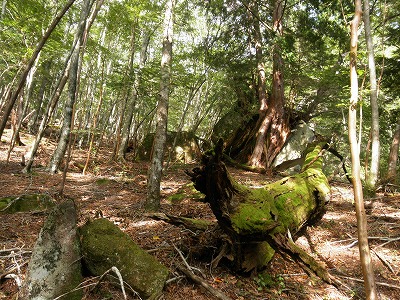 f0057070_2230476.jpg