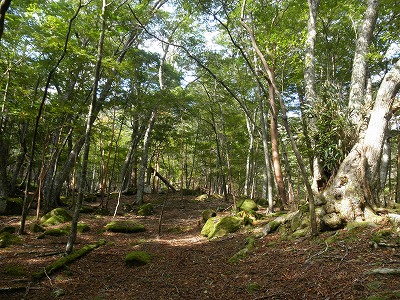 f0057070_2231038.jpg
