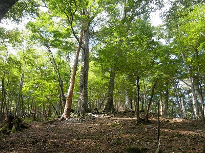 f0057070_22312175.jpg