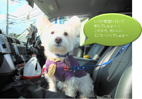 b0242873_0582429.png