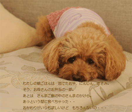 c0196673_8241100.gif