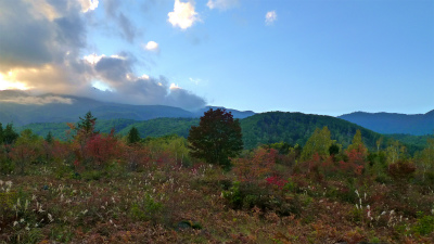 f0182173_20321864.jpg