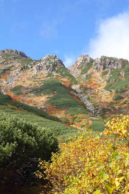 c0054876_1765340.jpg