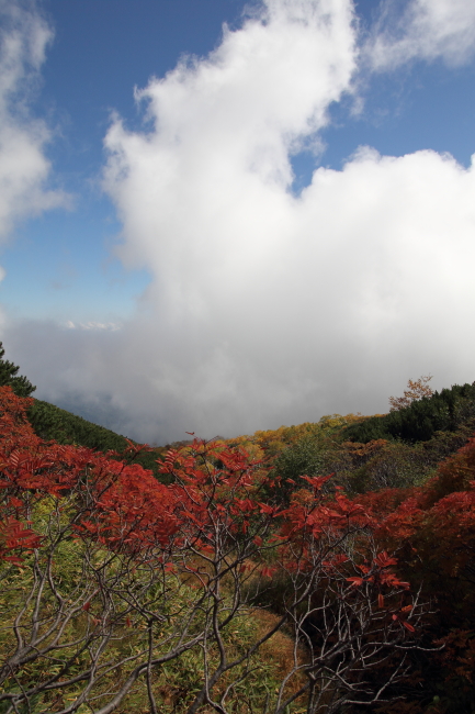 c0054876_1772217.jpg
