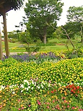b0138478_23144490.jpg