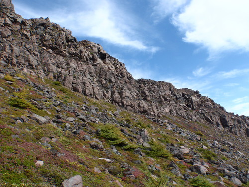 b0067179_21437.jpg