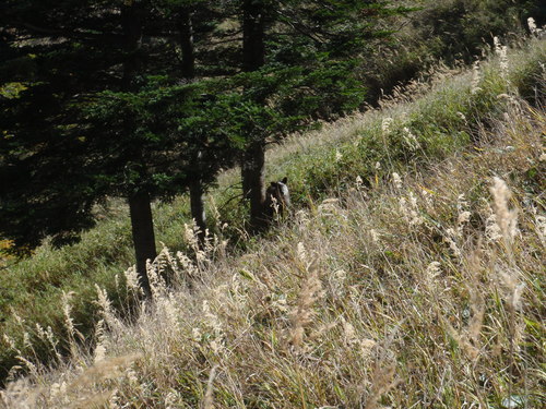 b0067179_215132.jpg