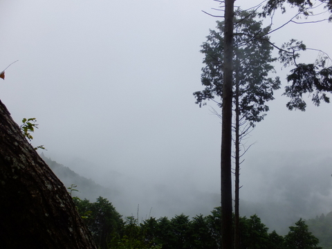 a0043982_1621322.jpg