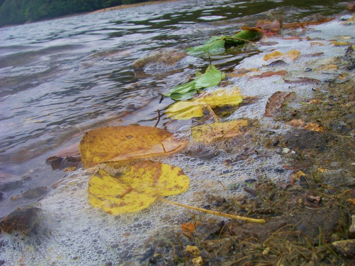 c0136486_14142196.jpg