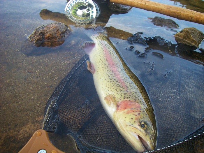 c0136486_1437583.jpg