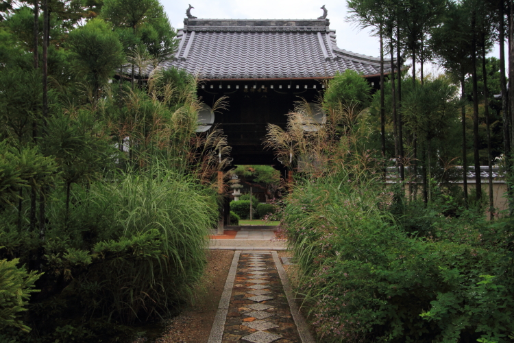 源光庵_e0051888_23373699.jpg