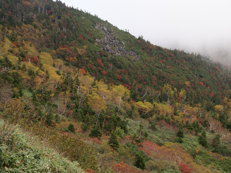 速報　白山　トンビ岩コースの紅葉_e0271890_21104865.jpg