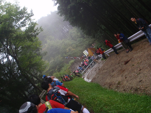 d0034291_830496.jpg