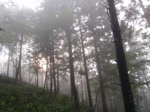 d0034291_8334045.jpg