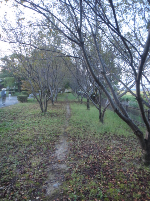 a0275492_4152718.jpg