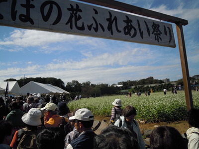 e0116694_2036472.jpg