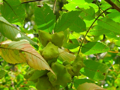 f0181394_2364165.jpg