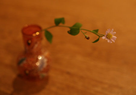 MOSER モーゼル・エナメル彩 花瓶。_c0108595_23484823.jpg