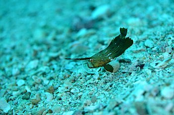 f0079996_19143650.jpg