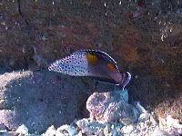 f0079996_19214915.jpg