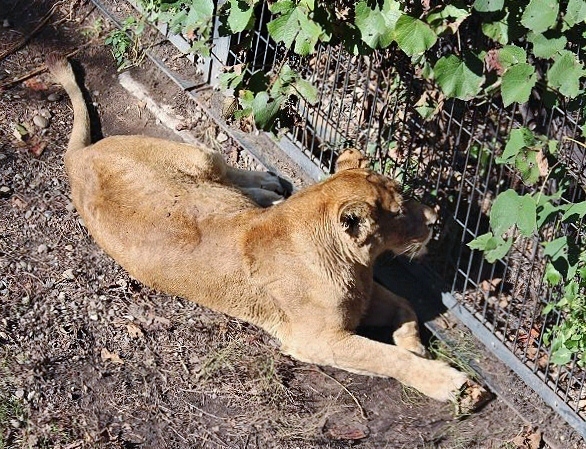 c0155902_20543195.jpg