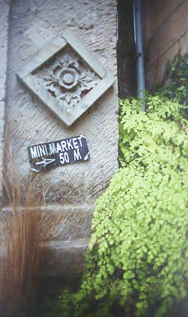 f0177305_6224926.jpg