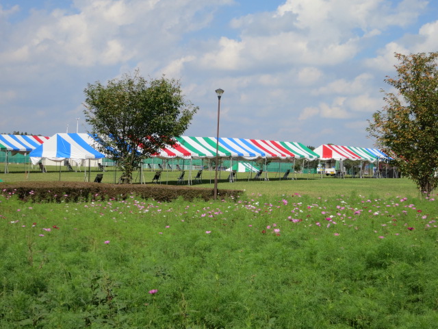 a0227507_13184472.jpg