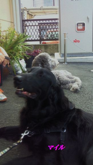 c0097309_20143989.jpg