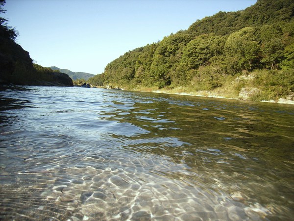 c0141013_1248360.jpg