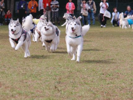 b0207615_215331.gif