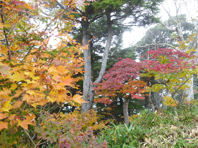 日本百名山　高妻山 (2,252.8M)  紅葉シリーズ_d0170615_9482965.jpg