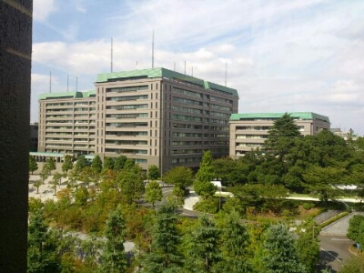 f0115120_8232578.jpg
