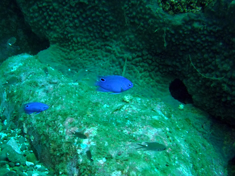 e0189021_21414270.jpg