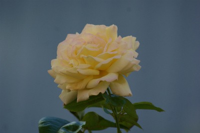 f0170524_8582474.jpg