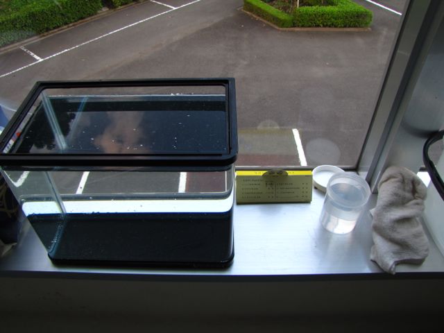 c0010727_9418.jpg