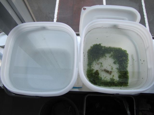 c0010727_99154.jpg