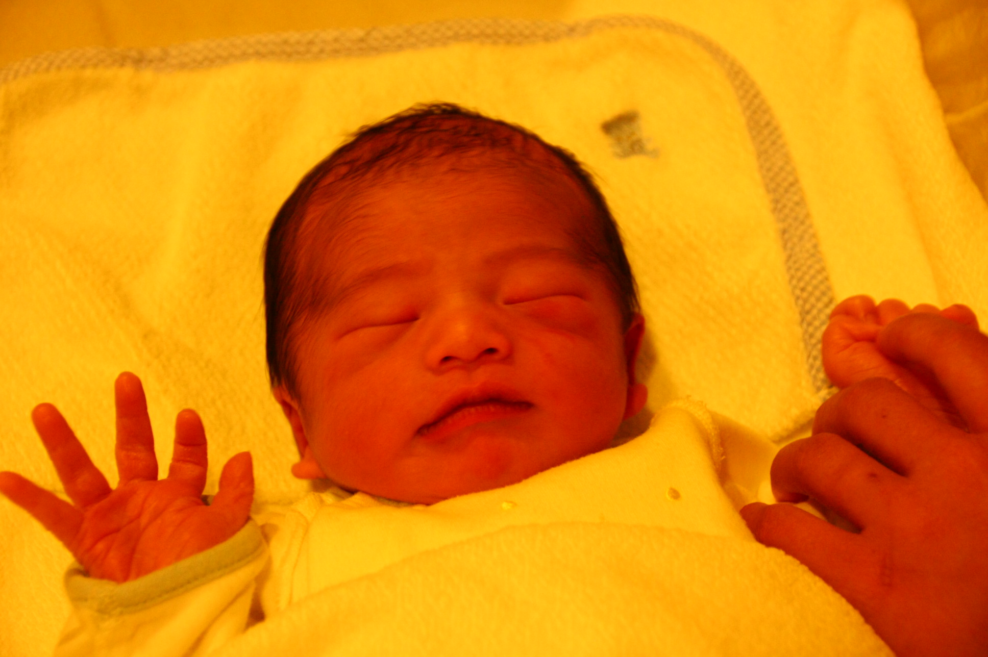 d0158028_17584871.jpg