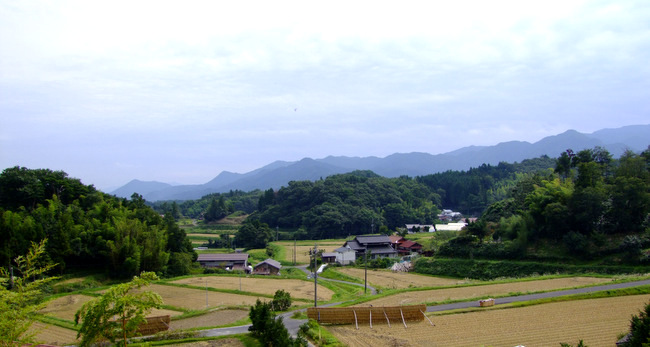 「いかこい島根 仁多米産地見学 悦っちゃん農園」_a0000029_17342058.jpg