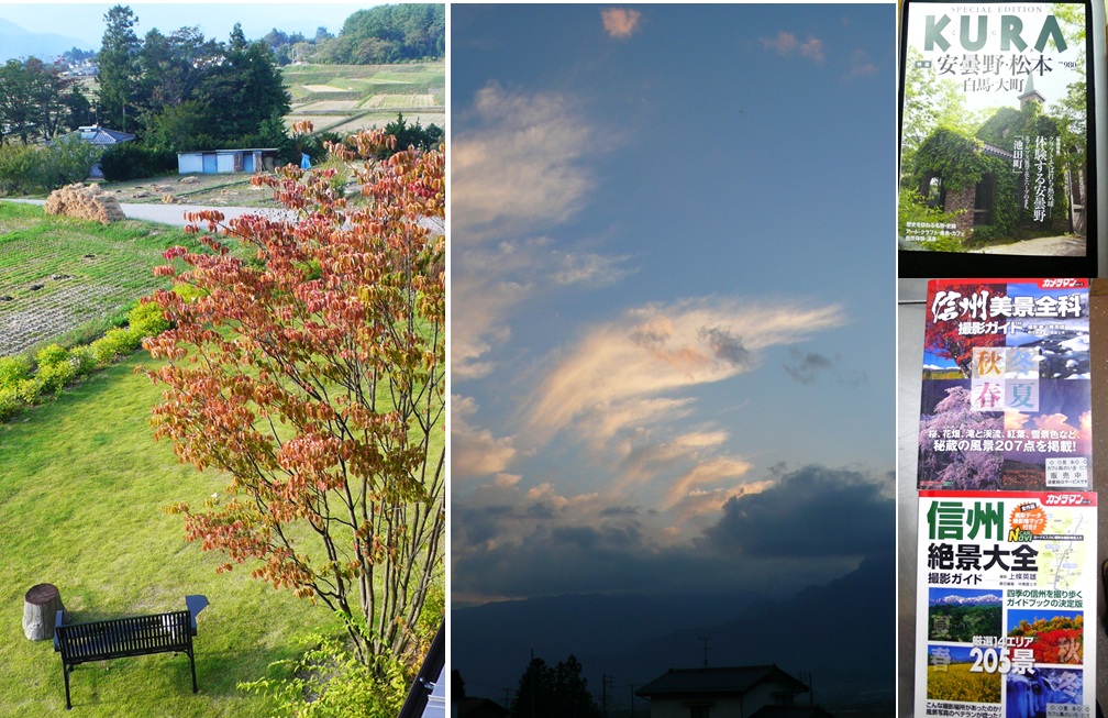 庭の紅葉とガイドブックス_a0212730_19421454.jpg