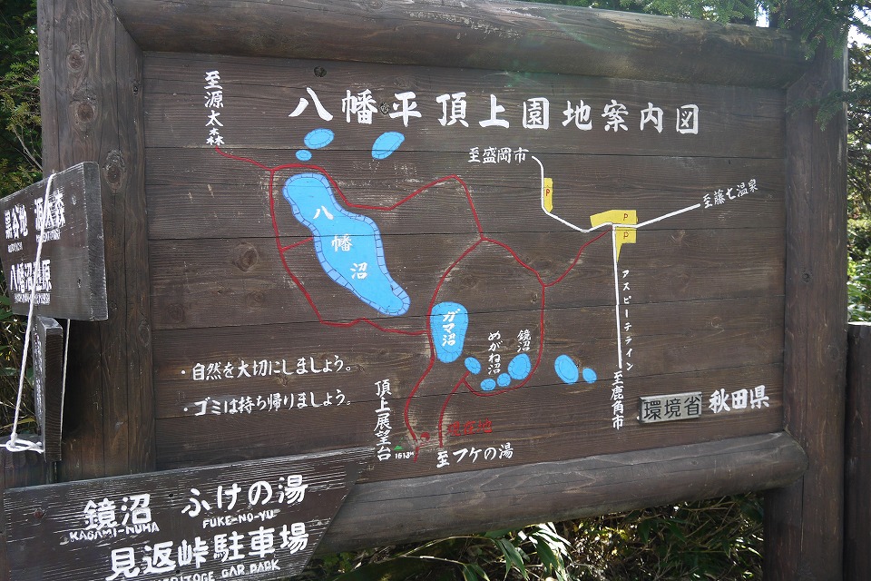b0113231_9362783.jpg