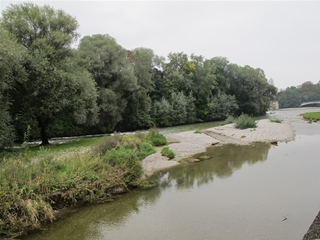 f0224632_64175.jpg