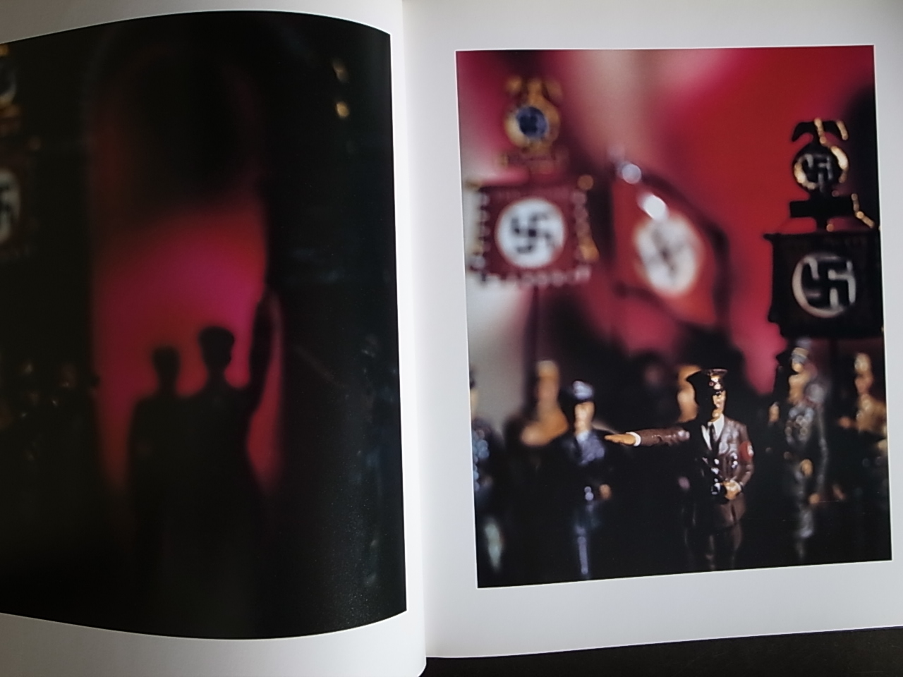 Mein Kampf David Levinthal Books Things