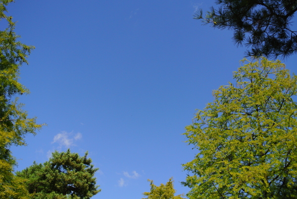 d0170835_1337346.jpg