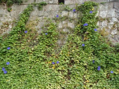 a0054240_2114221.jpg