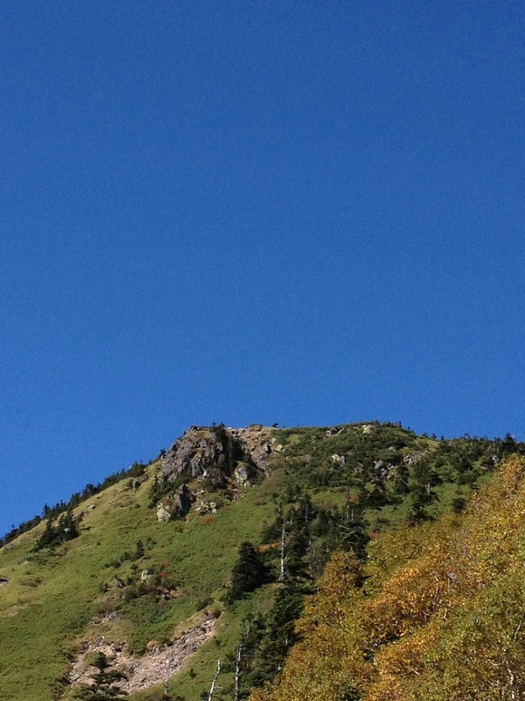 e0026541_11404511.jpg