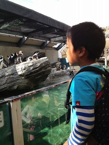 池袋　「サンシャイン水族館」_b0251742_1564242.jpg